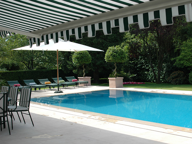 Premium Royalpool 30